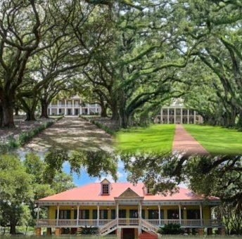 Collage showing the scenic oak alleys and colorful historic homes of Louisiana River Road.